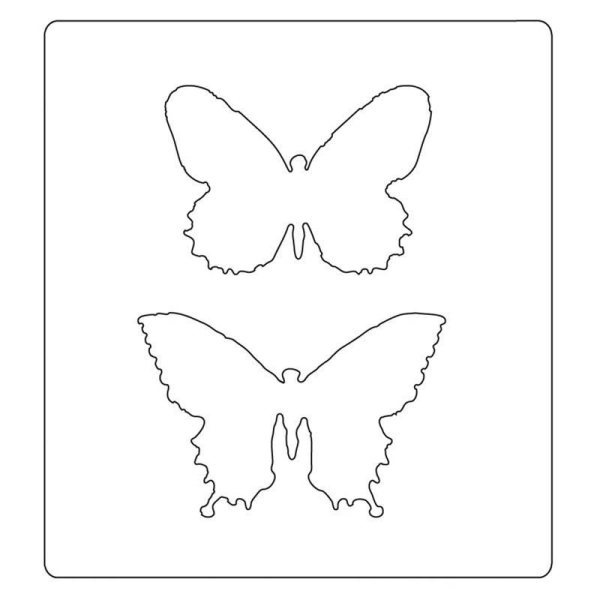 Dies/Matrices De Decoupe Et Gaufrage Bigz 'Sizzix' Duo De Papillons - Photo n°1