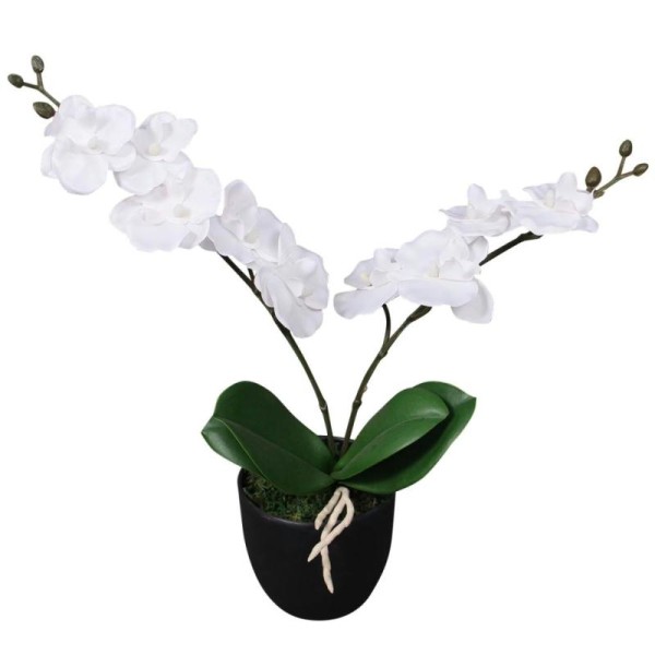 Vidaxl Plante Artificielle Avec Pot Orchidée 30 Cm Blanc - Photo n°1