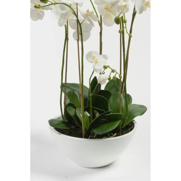Emerald Phalaenopsis Artificiel Blanc 80 Cm 20.335c - Photo n°3