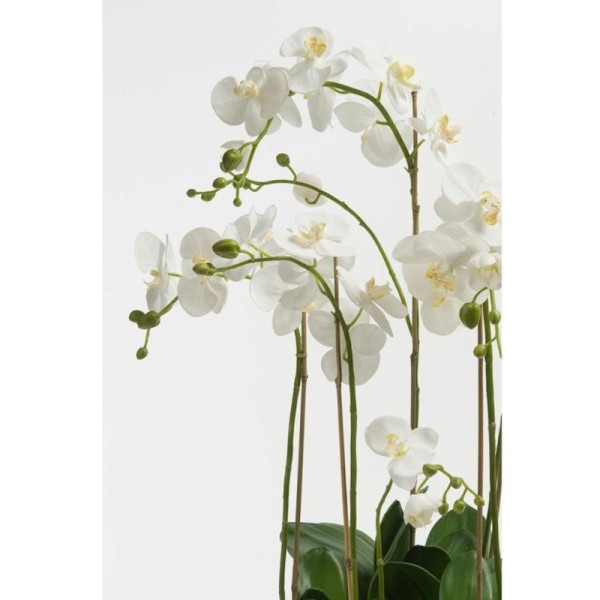 Emerald Phalaenopsis Artificiel Blanc 80 Cm 20.335c - Photo n°4