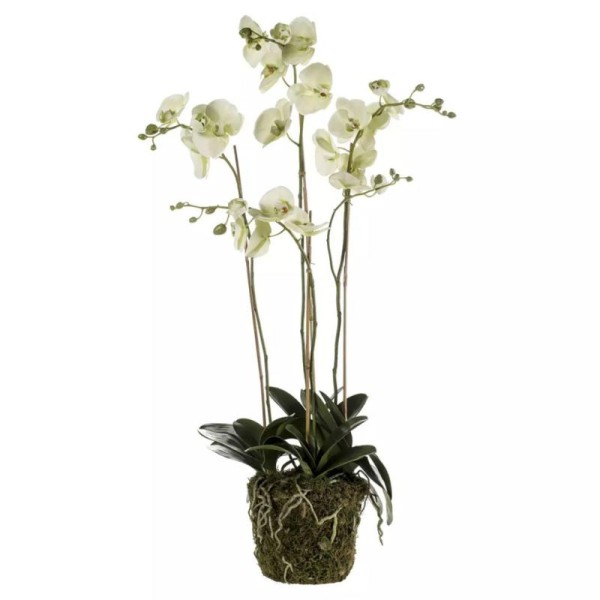Emerald Phalaenopsis Artificiel Avec Mousse Vert Clair 419148 - Photo n°1