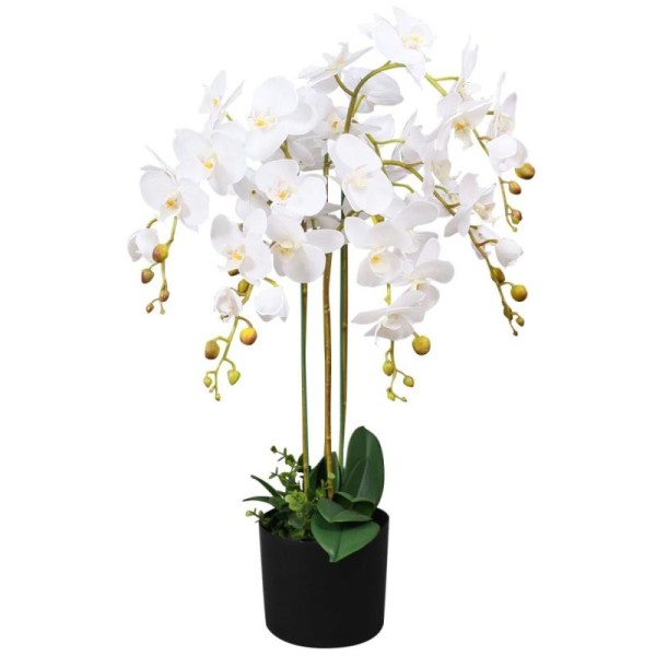 Vidaxl Plante Artificielle Avec Pot Orchidée 75 Cm Blanc - Photo n°1