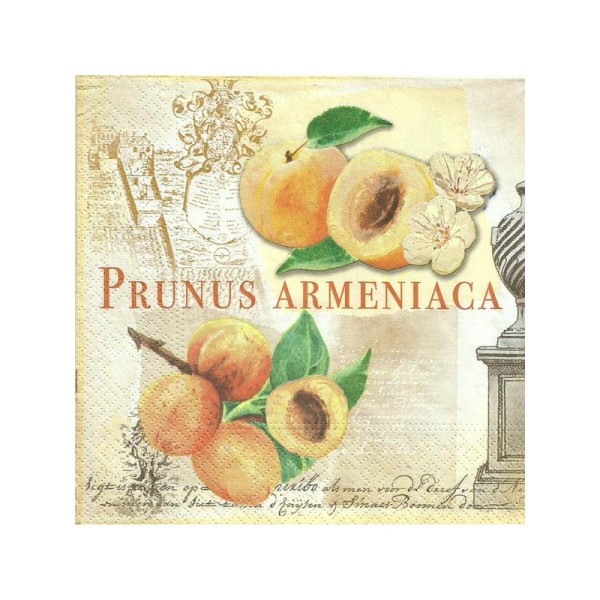 4 serviettes en papier découpage collage 33 cm PRUNUS ARMENIACA - Photo n°1