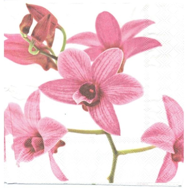 4 Serviettes en papier Orchidée Fleurs Format Lunch - Photo n°1