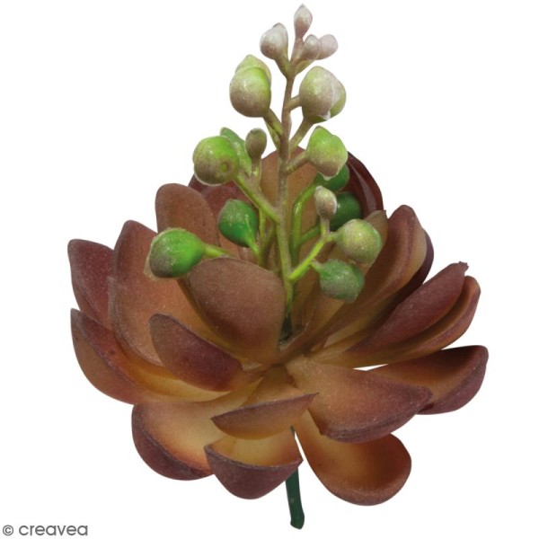 Plante artificielle - Rose de pierre fleurissante - Plastique - 7 x 9 cm - Photo n°1