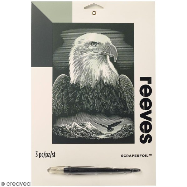 Carte à gratter Junior Reeves Argentée Aigle royal - 26 x 21 cm - Photo n°1