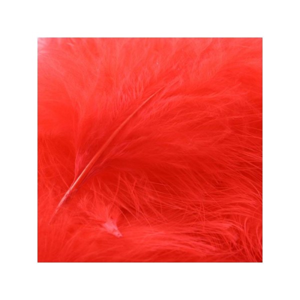 Plumes marabout rouge x10 - Photo n°1