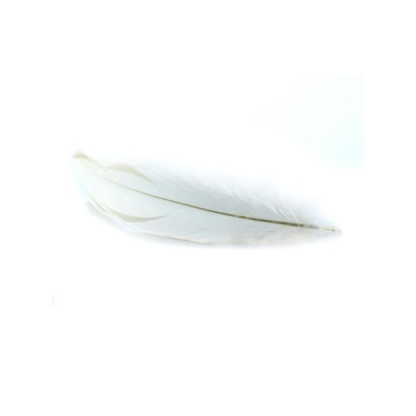 Plume nageoire d'oie ± 15 cm ivoire x5 - Photo n°1