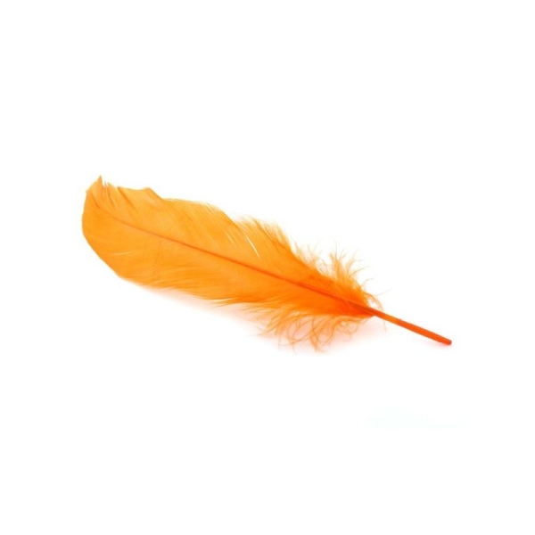 Plume nageoire d'oie ± 15 cm orange x5 - Photo n°1