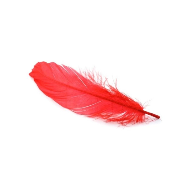 Plume nageoire d'oie ± 15 rouge x5 - Photo n°1
