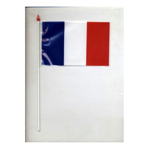 10 Drapeaux  France bleu blanc rouge tricolore - Photo n°1