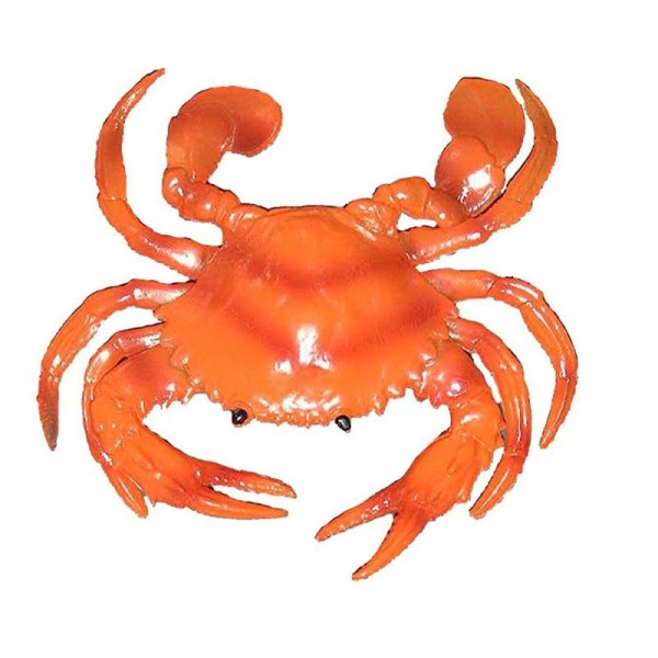 1 Crabe en caoutchouc crabe orangé - Photo n°1