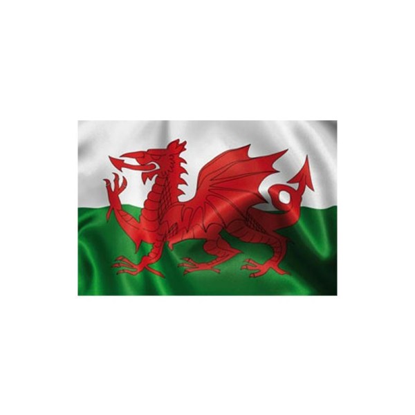 Pavillon Pays de Galles en tissu 90cm x 150 cm - Photo n°1