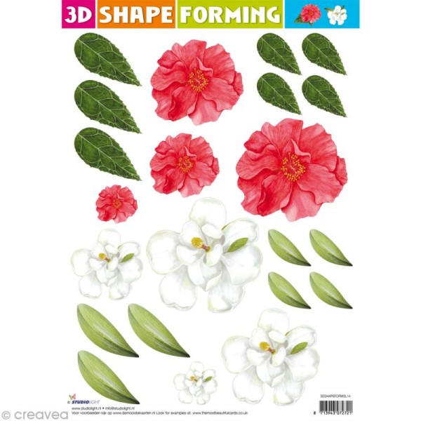 Shape forming 3D - Fleur - Magnolia - Photo n°1