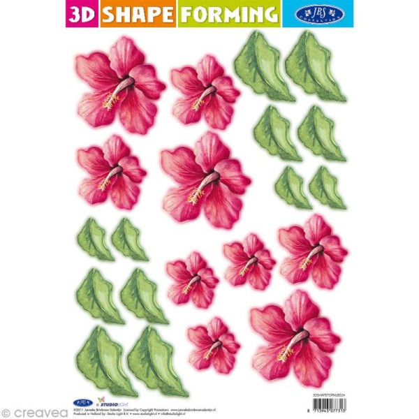 Shape forming 3D - Fleur - Hibiscus - Photo n°1