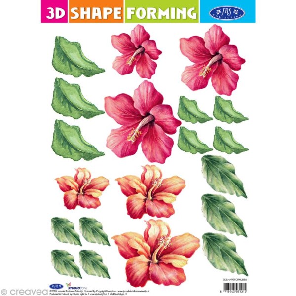 Shape forming 3D - Fleur - Hibiscus bicolore - Photo n°1