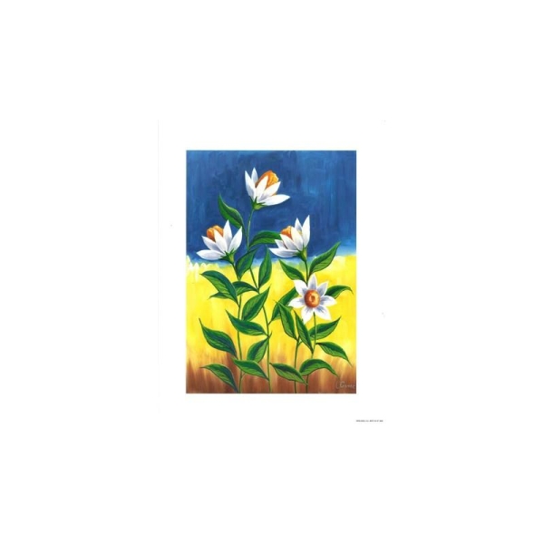 Image 3D - 0307068 - 24x30 - 4 fleurs blanches - Photo n°1