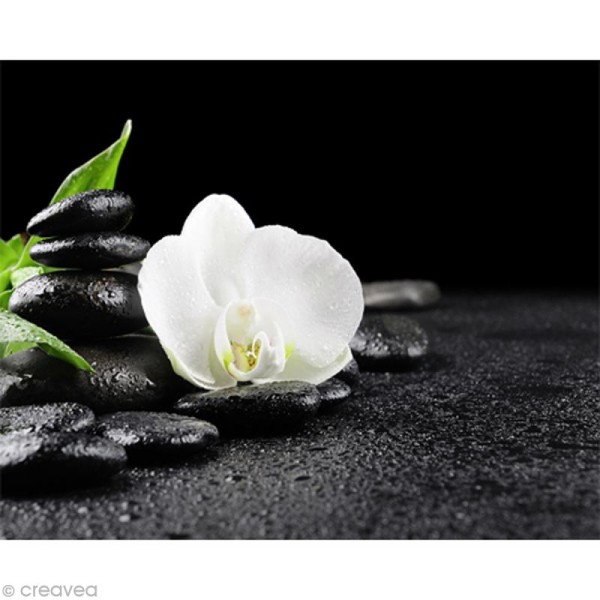 Image 3D Fleur - Orchidée blanche et pierres 40 x 50 cm - Photo n°1