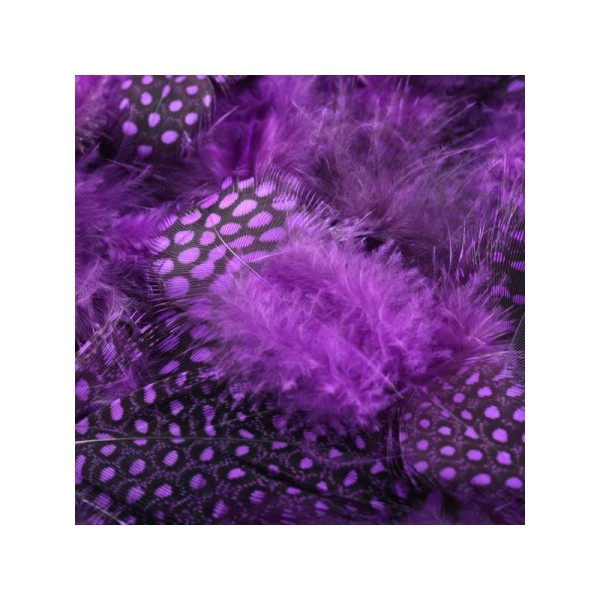 Sachet de 10 plumes pintades violettes - Photo n°1