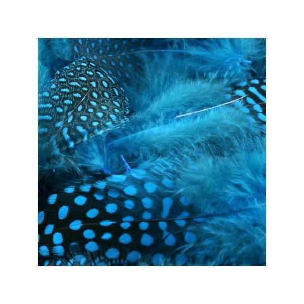 Sachet de 10 plumes pintades bleues turquoises - Photo n°1