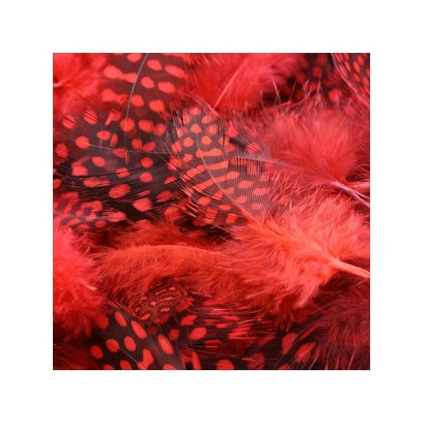 Sachet de 10 plumes pintades rouges - Photo n°1