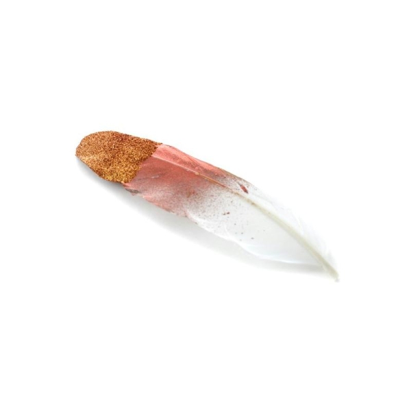 Plume cuivré-blanc pailleté - Photo n°1