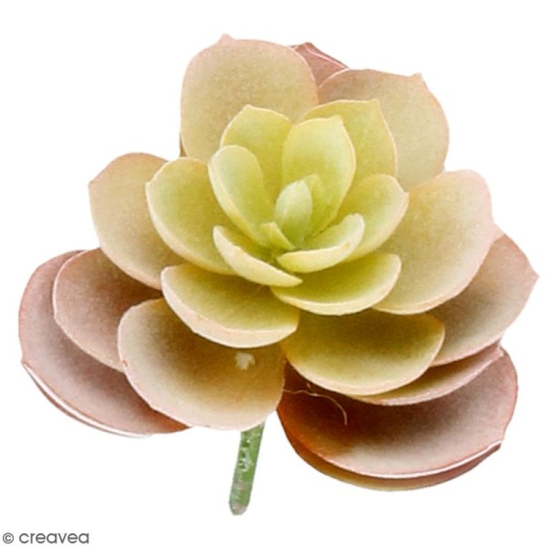 Plante artificielle - Echeveria velours - Plastique - 9 x 6 cm - Photo n°1