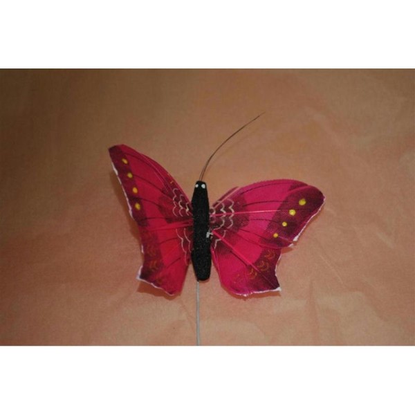 1 Papillon fuchsia sur pic - Photo n°1