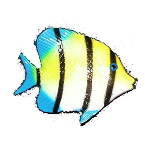 1 Petit poisson tropical jaune et bleu rayé de noir - Photo n°1