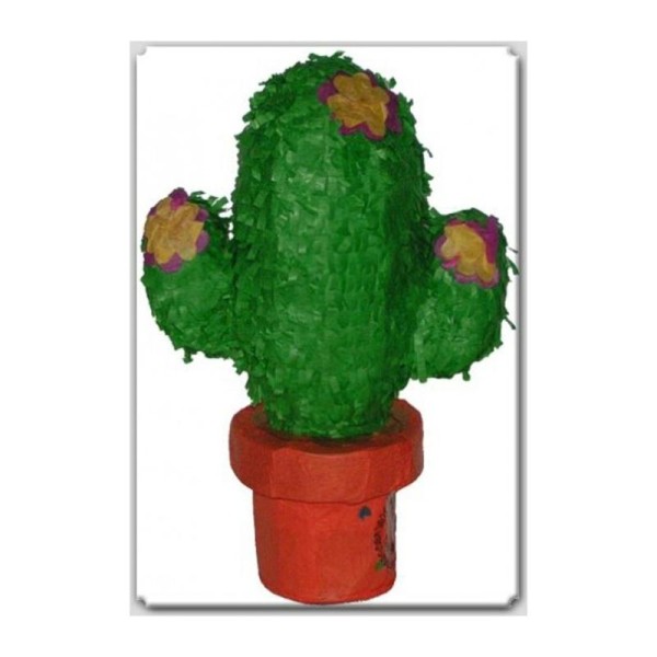 Pinata Cactus petit modèle - Photo n°1