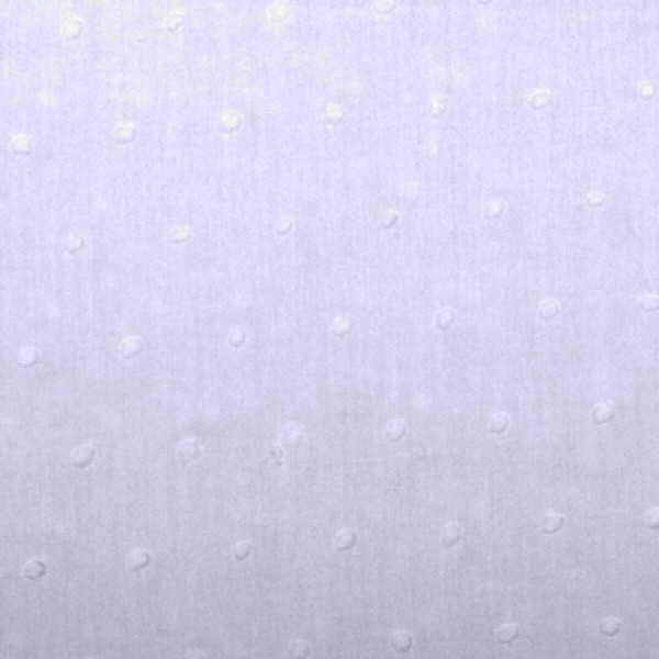 Tissu coton plumetis uni - Blanc - Photo n°1