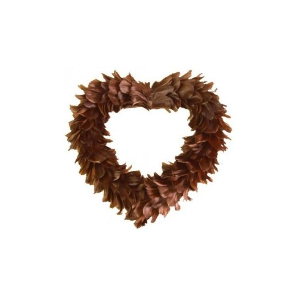 Coeur Chocolat en Plumes 38 cm - Photo n°1