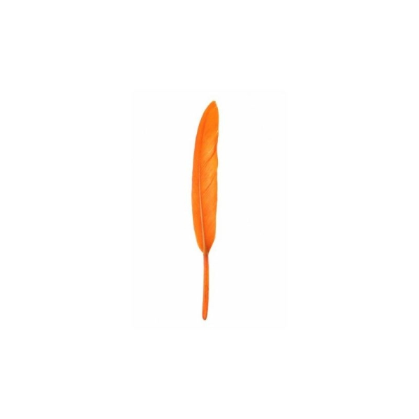 Plumes droites couleur décoratives 10 cm les 6 COULEUR:Orange - Photo n°1
