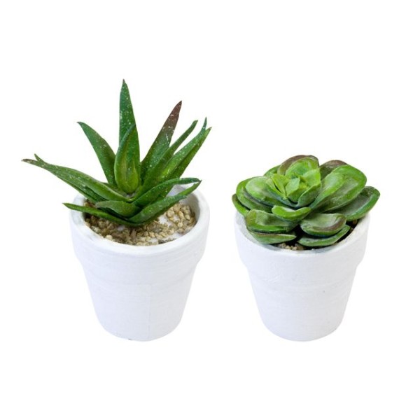 2 Minis pots de succulentes artificielles - Photo n°1