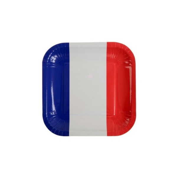 Assiettes France drapeau Franà§ais carton 23 cm les 10 - Photo n°1