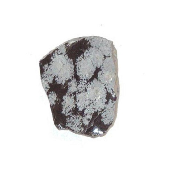 Obsidienne Mouchetée Chine - Pierre brute 10 à 15grs - Photo n°1