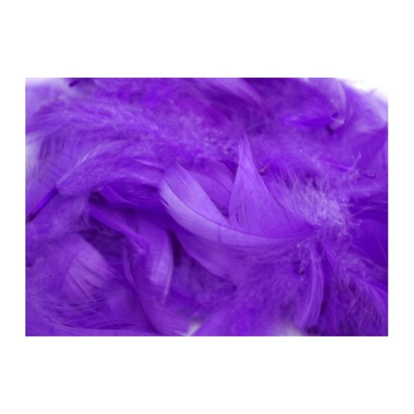 Plumes colorées de décoration violet - Photo n°1