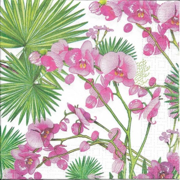 4 Serviettes en papier Orchidées et feuilles de Palmier Format Lunch - Photo n°2