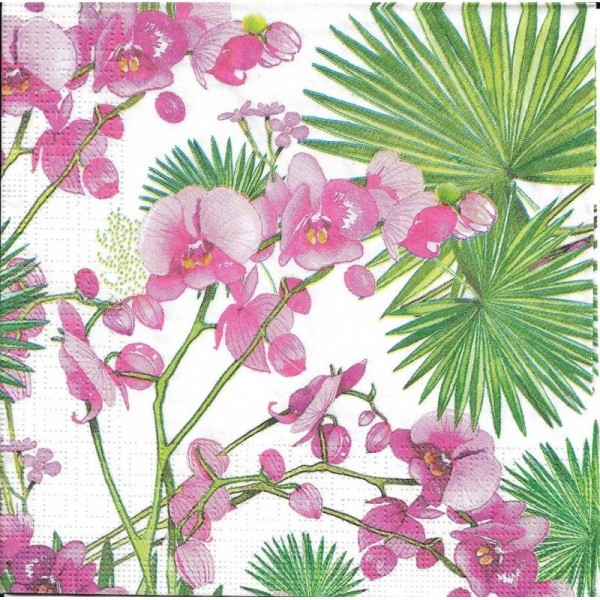 4 Serviettes en papier Orchidées et feuilles de Palmier Format Lunch - Photo n°1