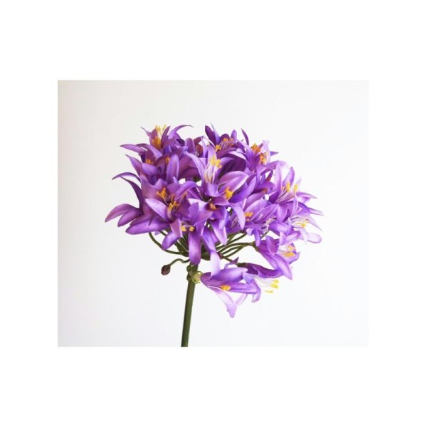 Agapanthe artificielle H78cm fleurs artificielles violettes Ø19cm - Photo n°1
