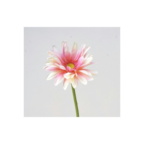 Gerbera artificielle H56cm crème rose fleur Ø11cm - Photo n°1