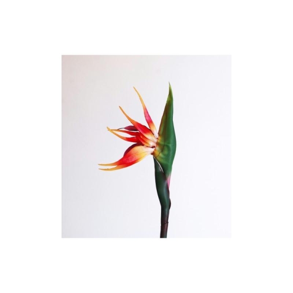 Strelitzia artificiel H90cm Grande fleur artificielle orange 15cmx15cm - Fleurs  artificielles haut de gamme - Creavea