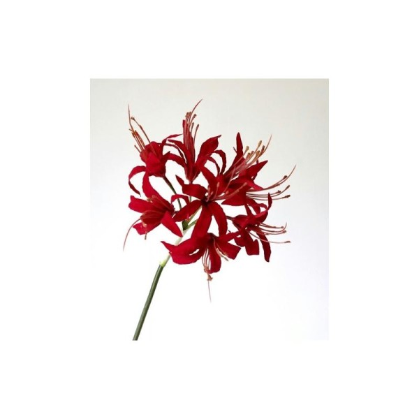 Nérine artificielle H67cm rouge 8 fleurs - Photo n°1