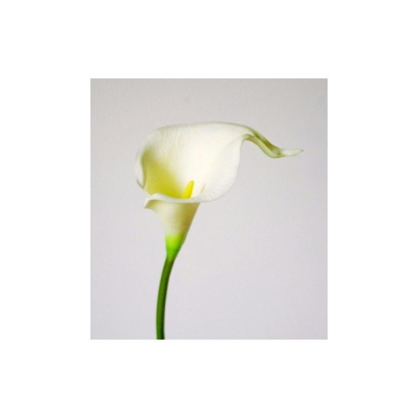 Arum artificiel H35cm blanc crème Calla fleur artificielle mousse 10cm - Photo n°1