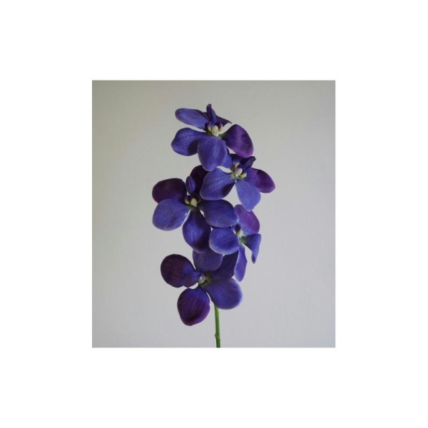 Orchidée artificielle bleu nuit H52cm 5 fleurs artificielles - Photo n°1