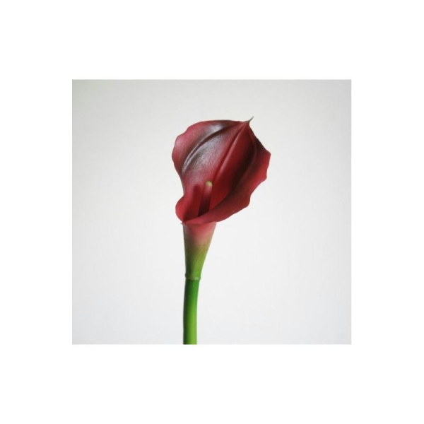 Arum artificiel fleur latex H65cm rouge foncé Calla fleur artificielle 12cmx8cm - Photo n°1