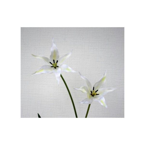 Tulipes artificielles H85cm blanches 2 fleurs - Photo n°1