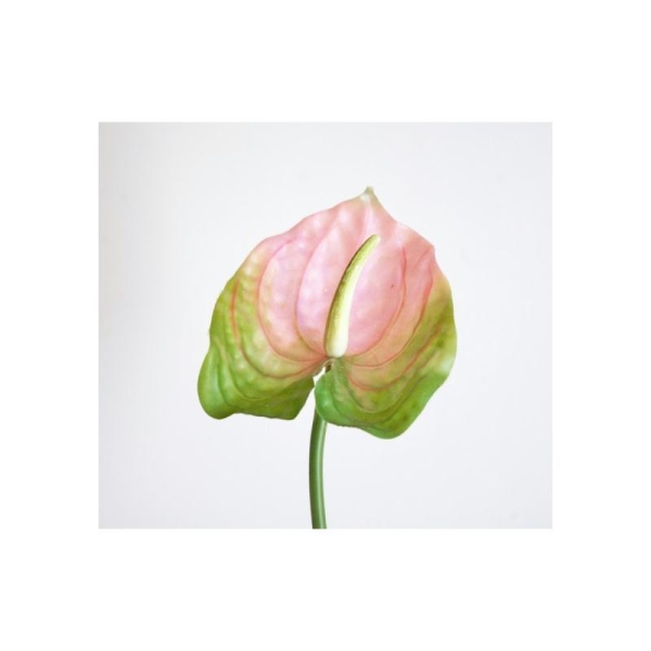 Anthurium artificiel H50cm rose vert fleur artificielle 13cm - Photo n°1