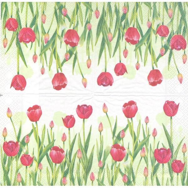 4 Serviettes en papier Tulipes Format Lunch Decoupage Decopatch 74135 Nouveau - Photo n°2