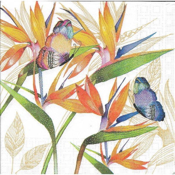 4 Serviettes en papier Oiseau de Paradis Papillon Format Lunch Decoupage Decopatch 133-2713 PPD - Photo n°1